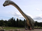 Og der er en kæmpe dinosaurus i Givskud