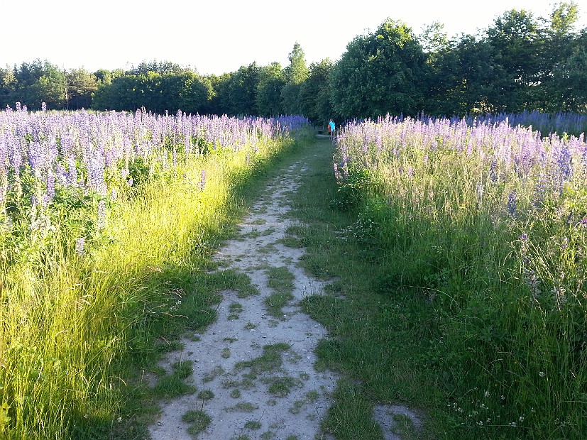20150701_202025