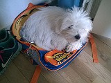 WP_20150605_001