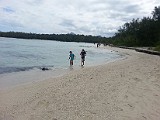 Der ledes efter flotte strand ting